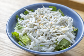 駿河湾 釜揚げしらす小丼