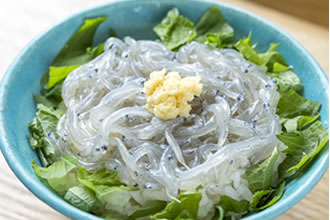 駿河湾 生しらす小丼