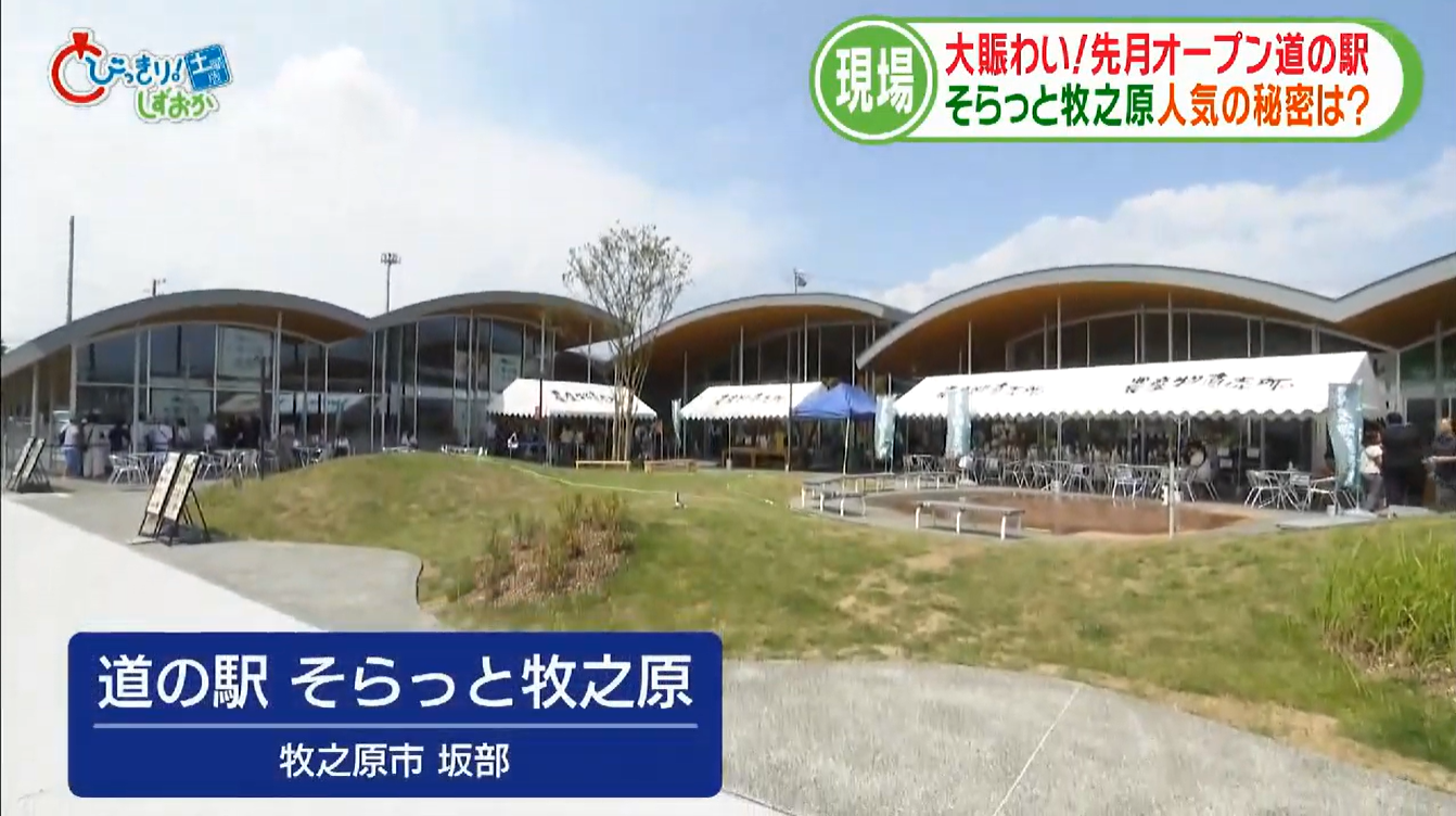 静岡朝日テレビ「とびっきり！しずおか土曜版」で紹介されました！