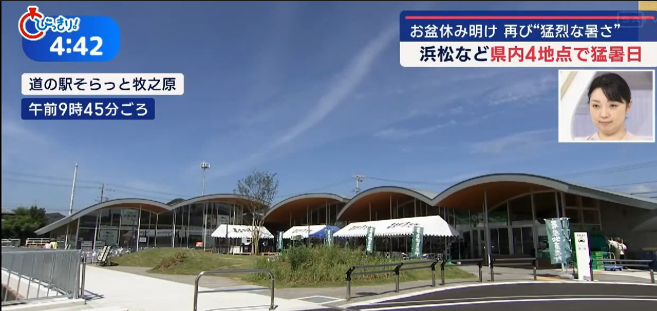 静岡朝日テレビ「とびっきりしずおか」で紹介されました！