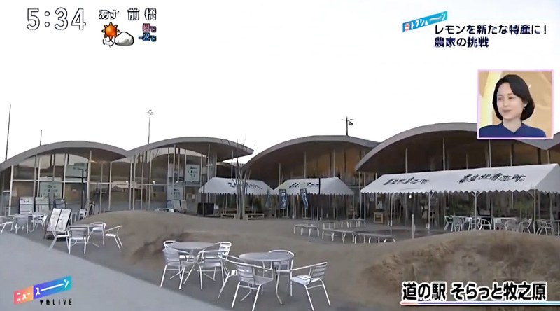 午後LIVE「ニュースーン」で紹介されました！