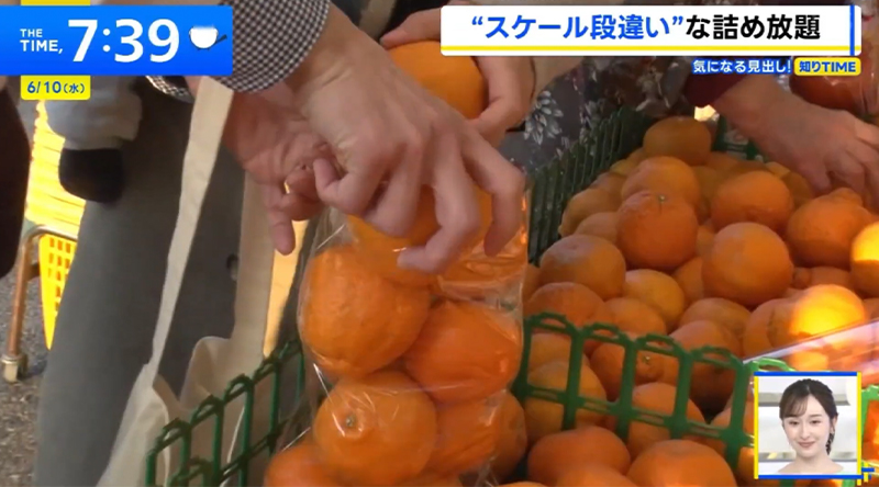 TBSテレビ「THE TIME,」で紹介されました!